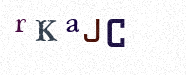 Visual Confirmation Security Code