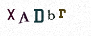 Visual Confirmation Security Code